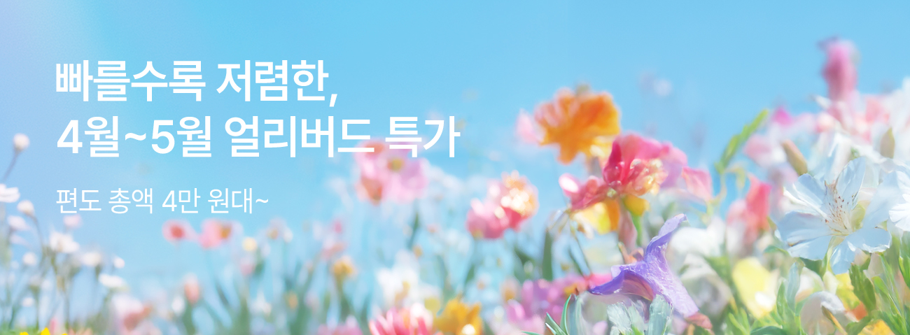 2월 얼리버드 특가