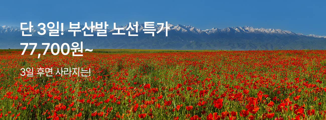 단 3일, 부산 출발 국제선 특가 프로모션
