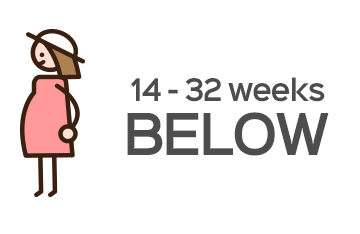 14-32 week below