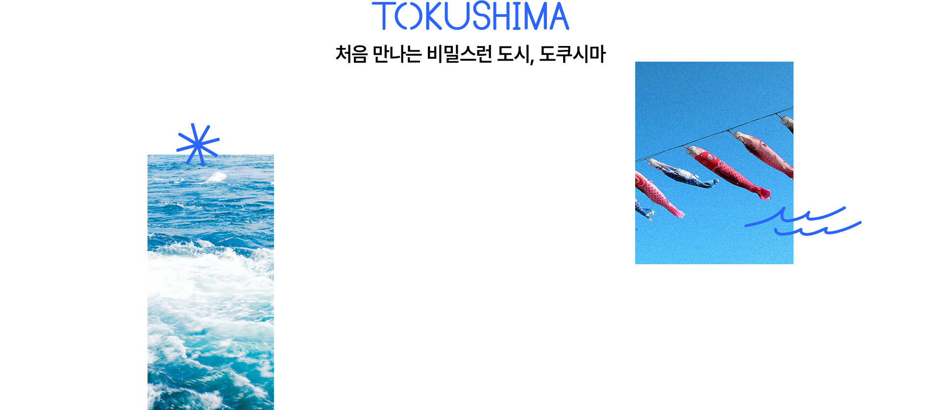 tokushima_main_02