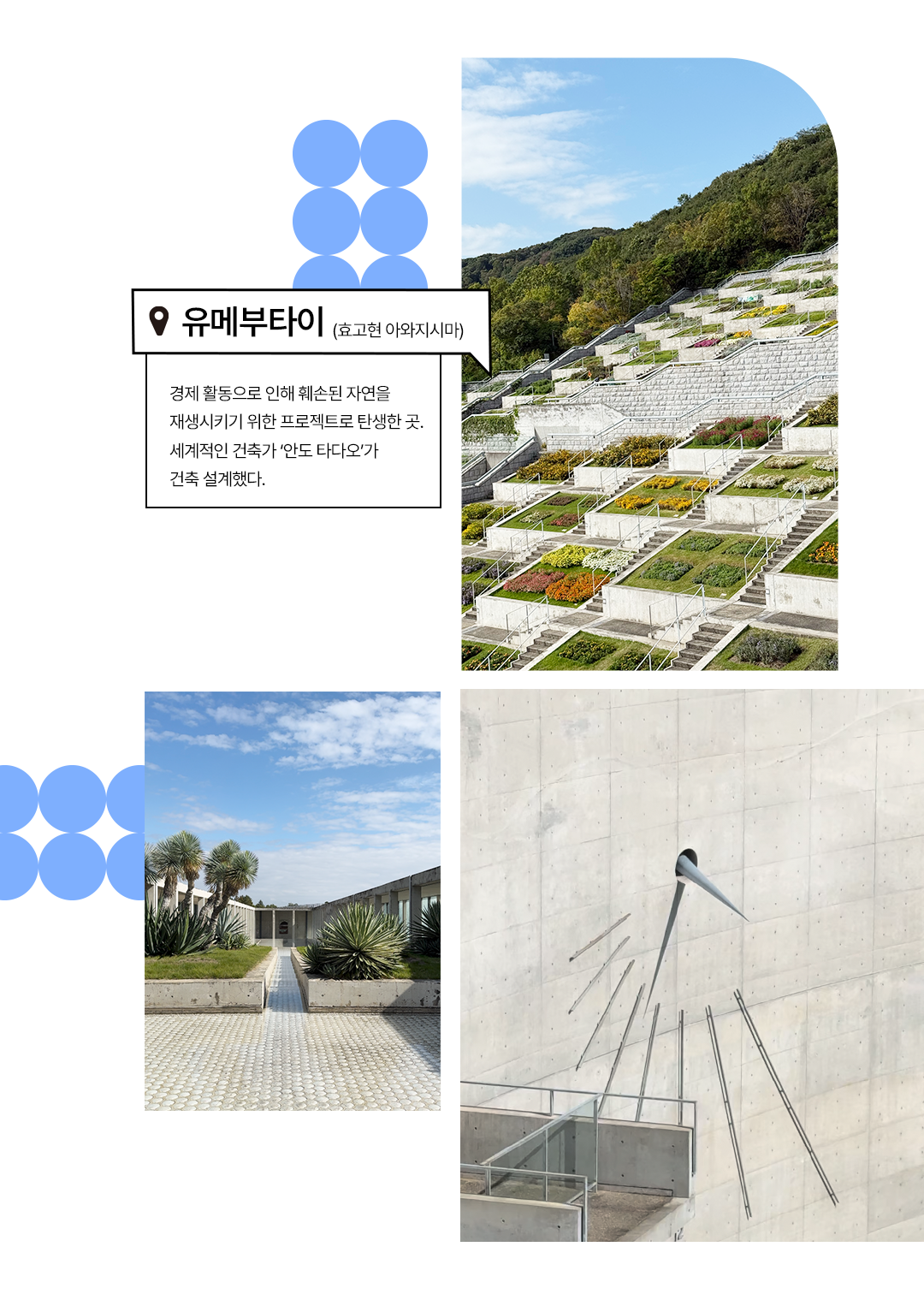 tokushima_spot_03