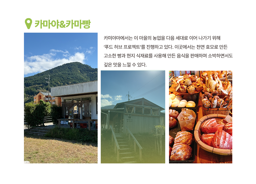 tokushima_spot_10