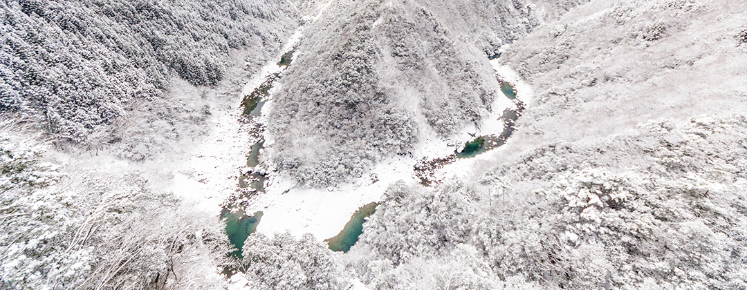 tokushima_spot_15