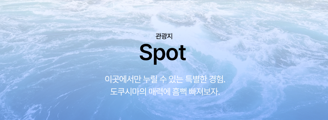 tokushima_spot_16
