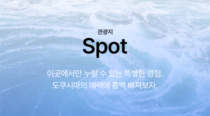 tokushima_spot_01